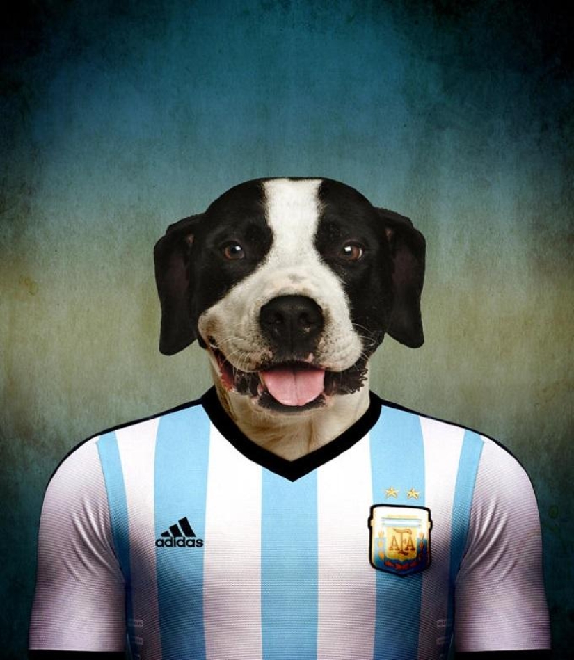 Dogs dressed in the uniforms of the national teams of the world