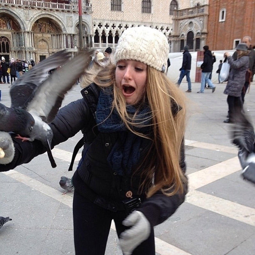 Don&#39;t feed the pigeons or you&#39;ll be sorry!