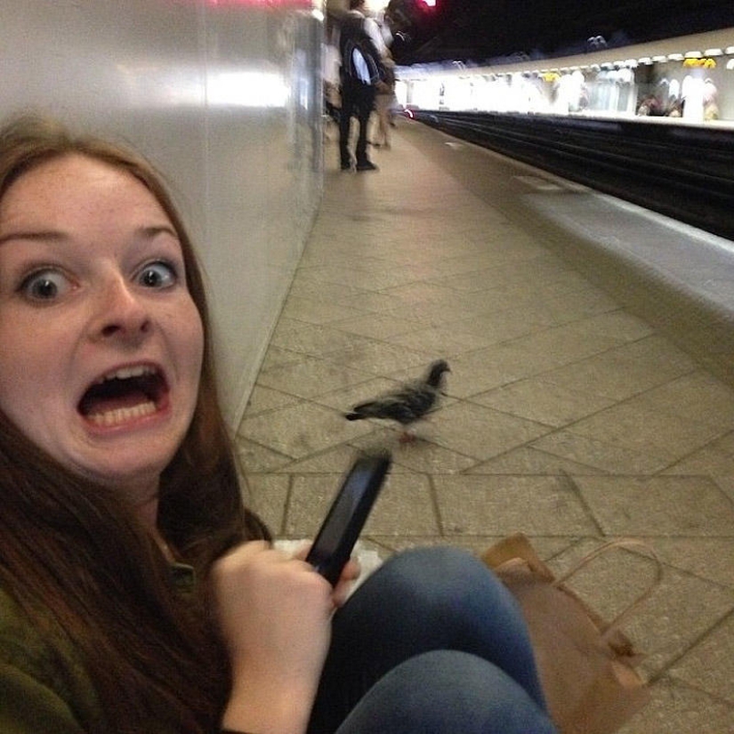 Don&#39;t feed the pigeons or you&#39;ll be sorry!