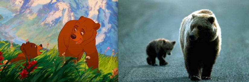 Donald Duck and 20 other Disney animals in real life