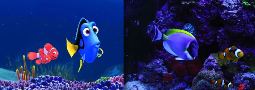 Donald Duck and 20 other Disney animals in real life