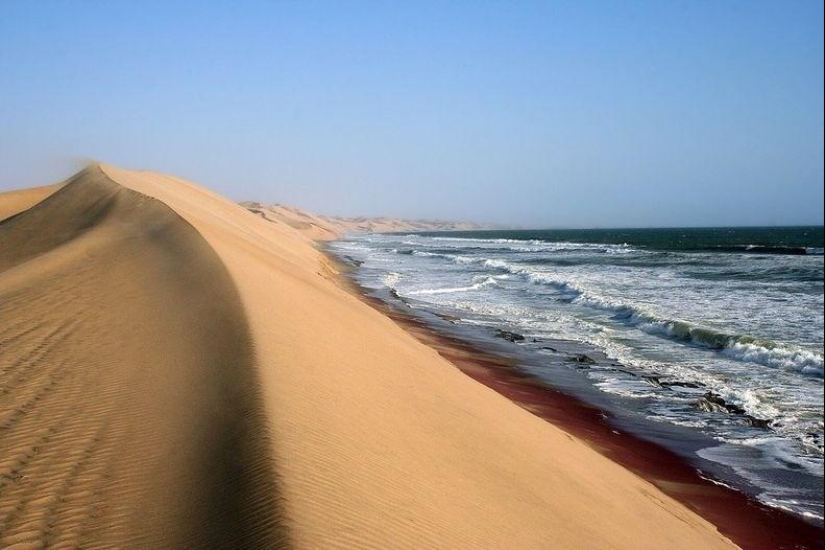 Donde el desierto se encuentra con el agua