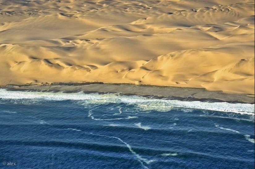 Donde el desierto se encuentra con el agua