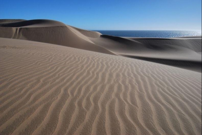 Donde el desierto se encuentra con el agua