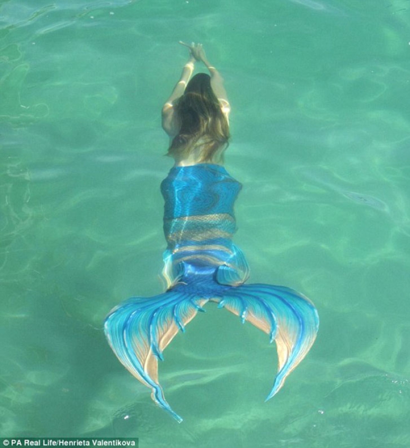 Dos sirenitas: novias obsesionadas con Disney han crecido colas de silicona y nadan con tiburones Dos sirenitas: novias obsesionadas con Disney han crecido colas de silicona y nadan con tiburones