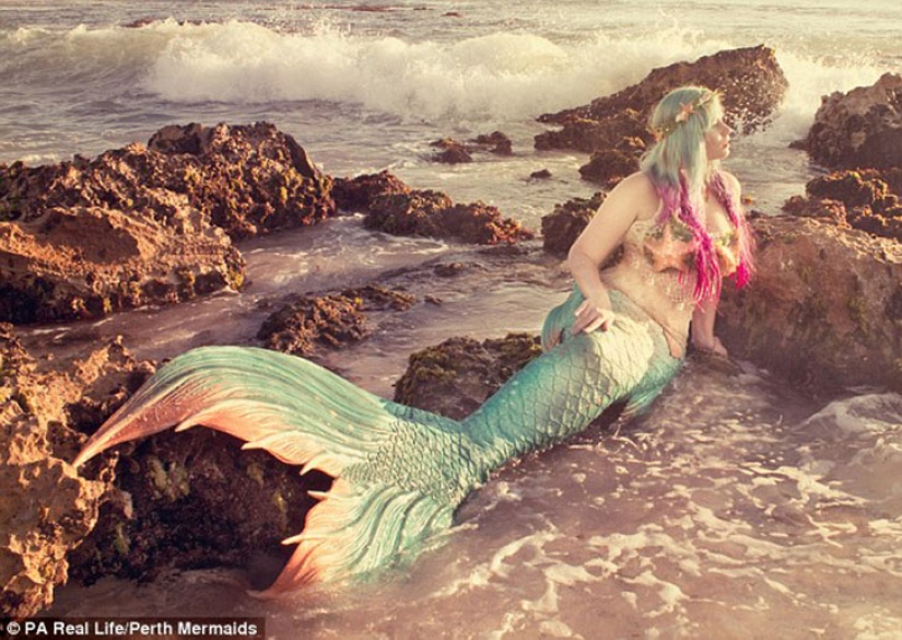 Dos sirenitas: novias obsesionadas con Disney han crecido colas de silicona y nadan con tiburones Dos sirenitas: novias obsesionadas con Disney han crecido colas de silicona y nadan con tiburones