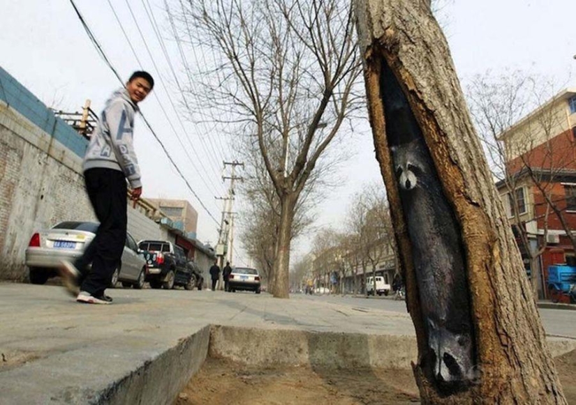 Drawings on the trees cheer up the townspeople