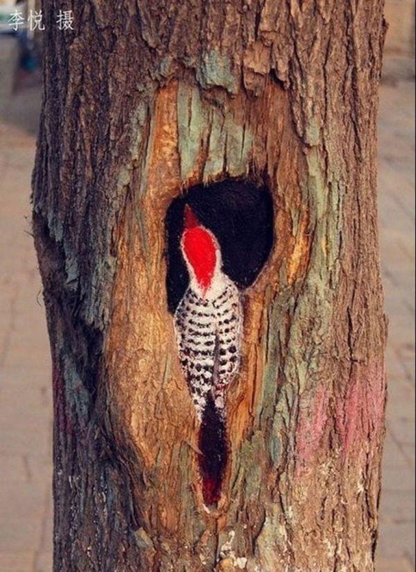 Drawings on the trees cheer up the townspeople