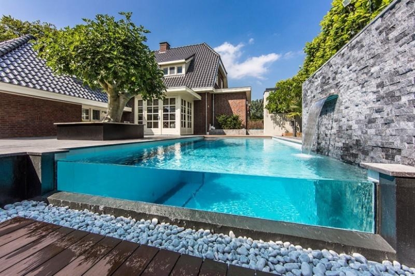 dream backyard
