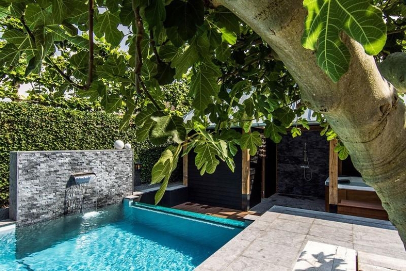 dream backyard