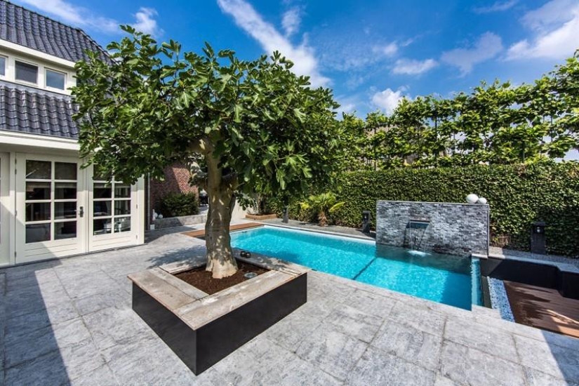 dream backyard