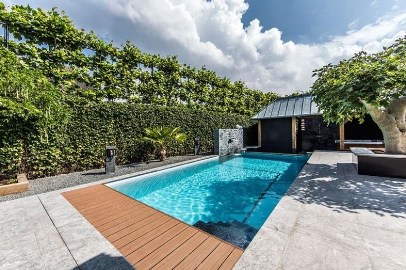 dream backyard
