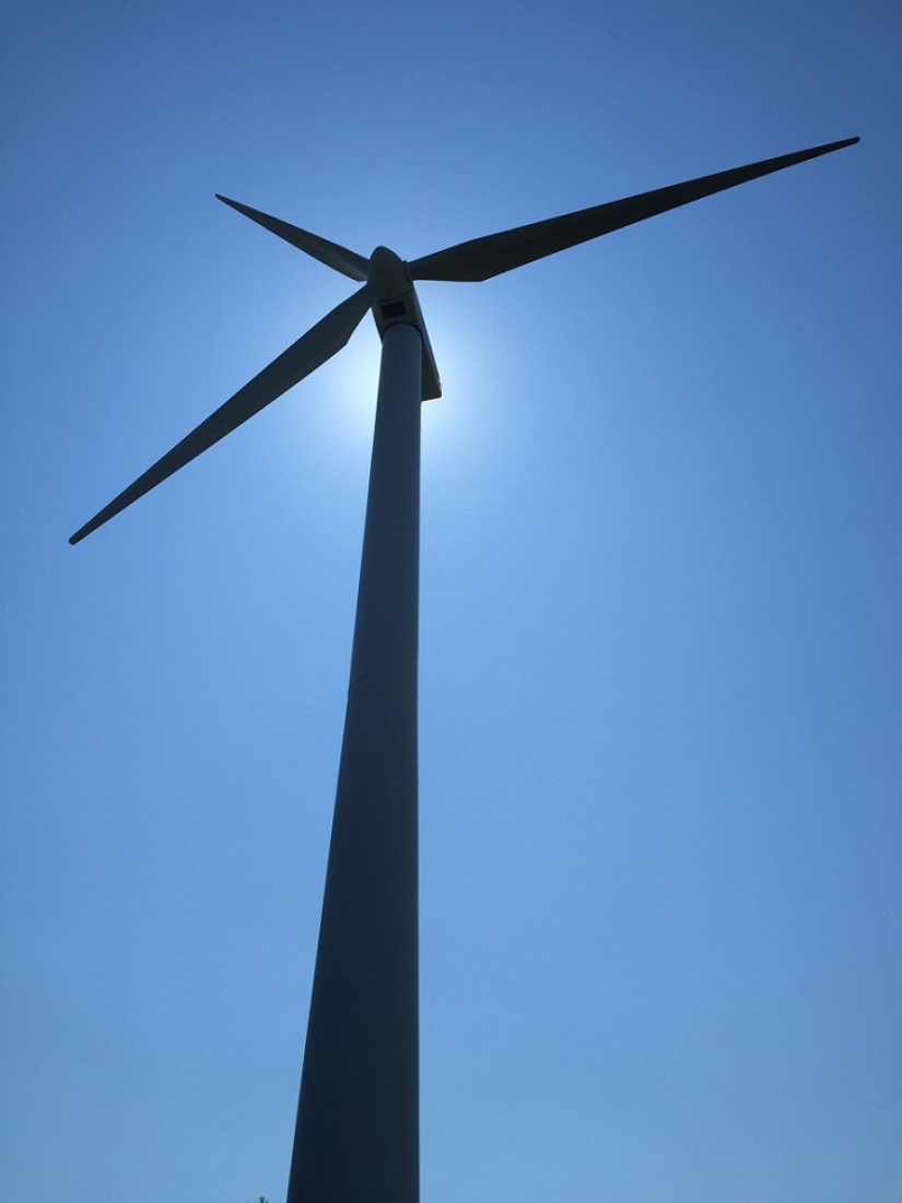 Drone captado tomando el sol en un molino de viento