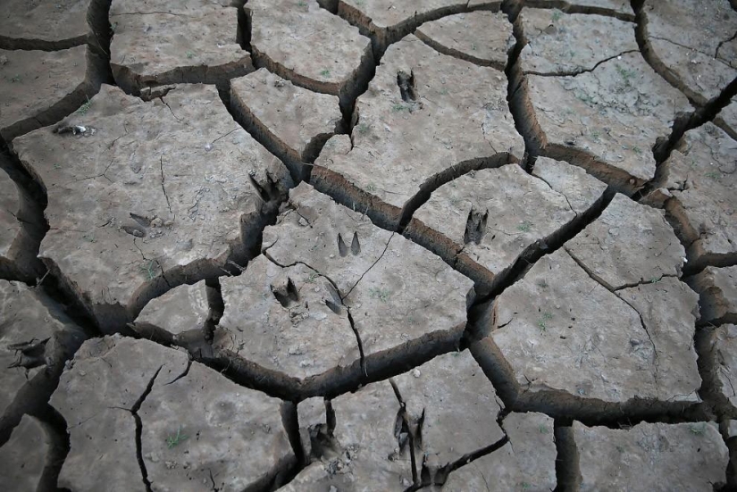 Drought in California