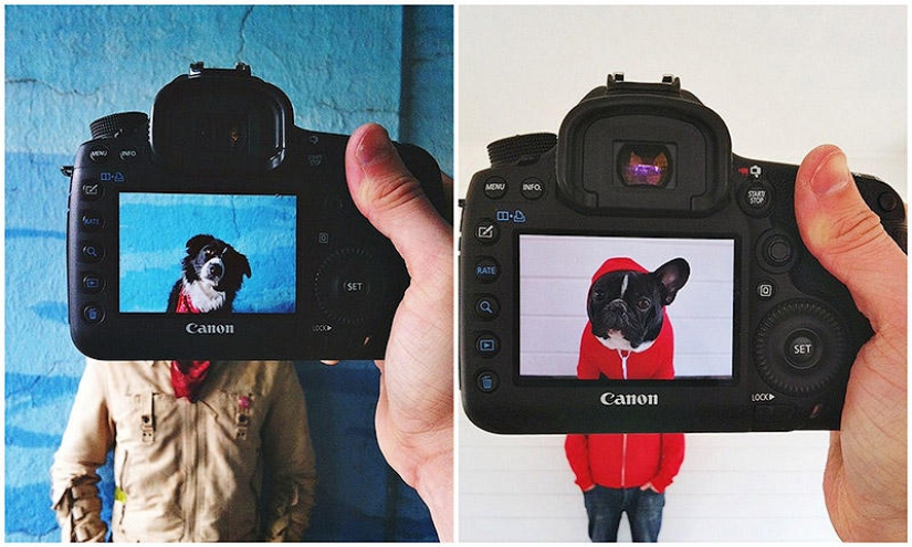 Dueños de mascotas y sus mascotas en un peculiar proyecto fotográfico #petheadz
