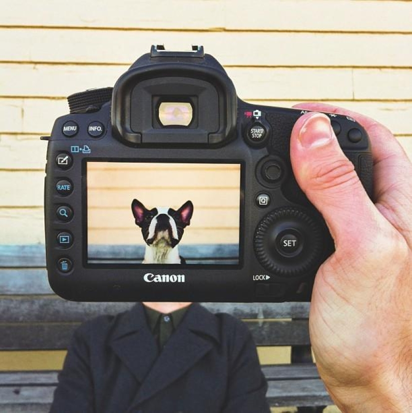 Dueños de mascotas y sus mascotas en un peculiar proyecto fotográfico #petheadz