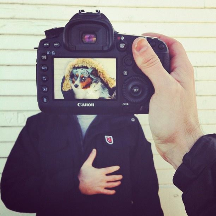 Dueños de mascotas y sus mascotas en un peculiar proyecto fotográfico #petheadz