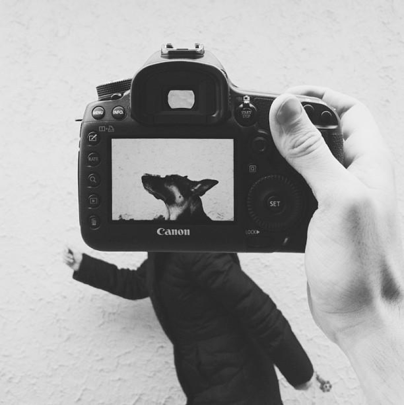 Dueños de mascotas y sus mascotas en un peculiar proyecto fotográfico #petheadz