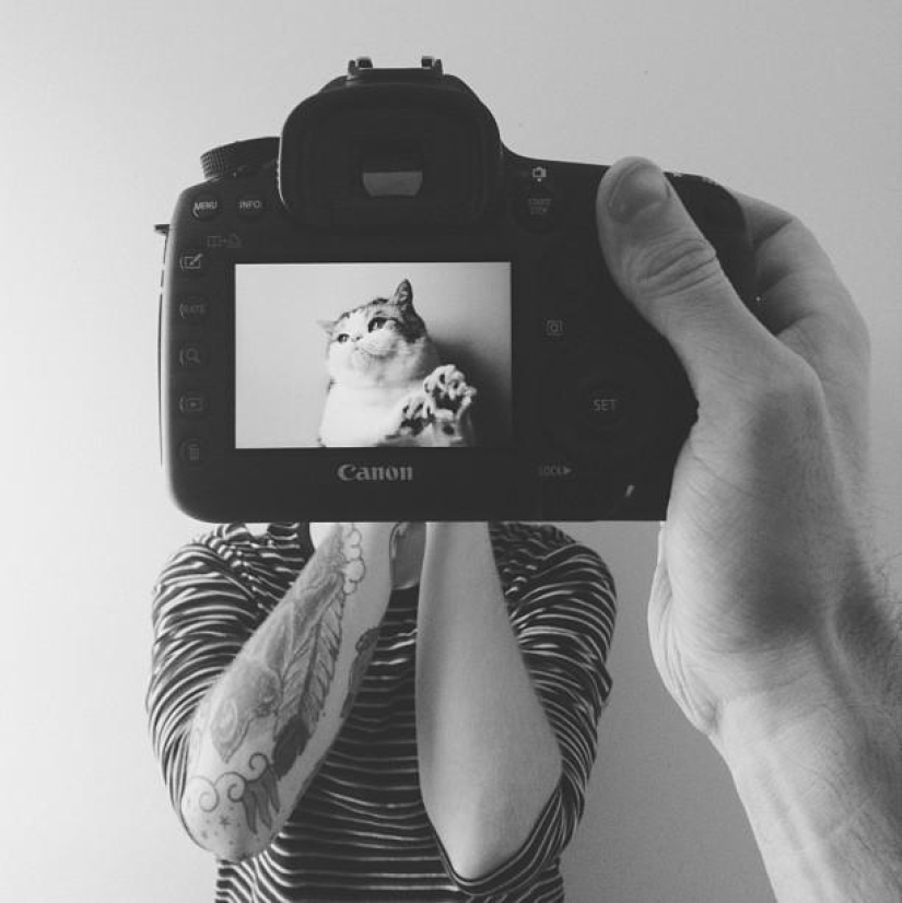 Dueños de mascotas y sus mascotas en un peculiar proyecto fotográfico #petheadz