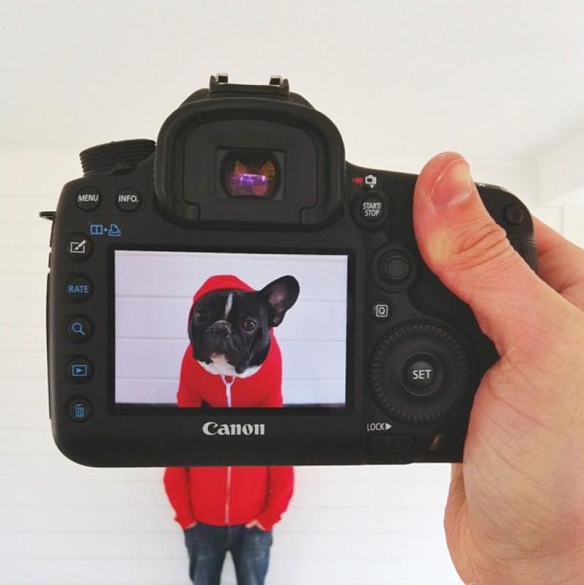 Dueños de mascotas y sus mascotas en un peculiar proyecto fotográfico #petheadz