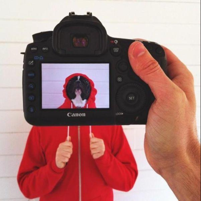 Dueños de mascotas y sus mascotas en un peculiar proyecto fotográfico #petheadz