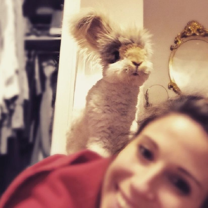 Ears that will surprise you Ears that will surprise you