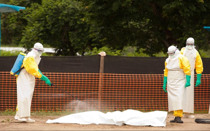 Ebola virus: the world is in a fever Ebola virus: the world is in a fever