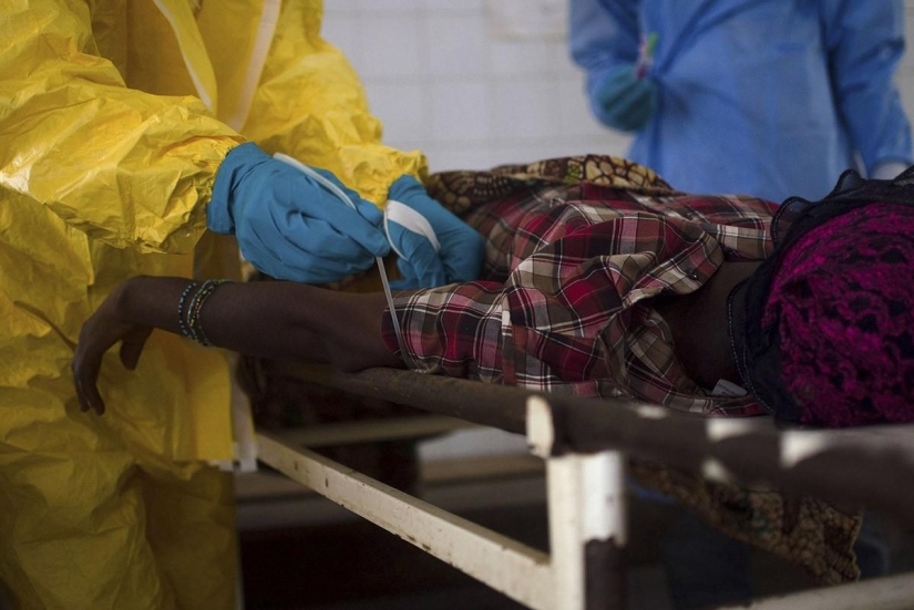 Ebola virus: the world is in a fever Ebola virus: the world is in a fever