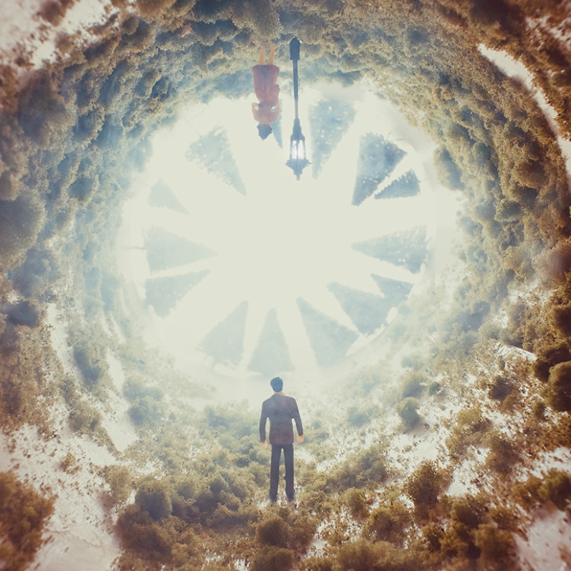 Egyptian photographer shoots wildlife from the comfort of his bedroom Egyptian photographer shoots wildlife from the comfort of his bedroom