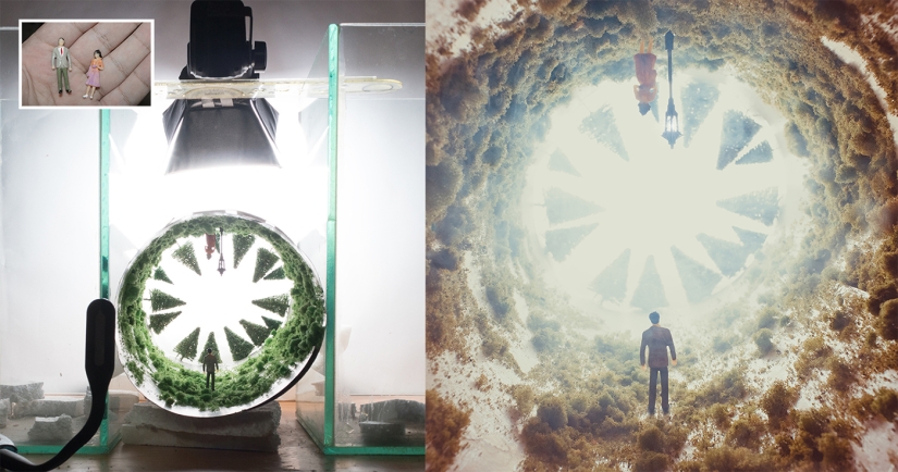 Egyptian photographer shoots wildlife from the comfort of his bedroom Egyptian photographer shoots wildlife from the comfort of his bedroom