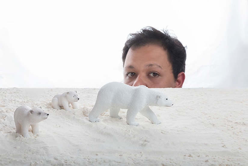 Egyptian photographer shoots wildlife from the comfort of his bedroom Egyptian photographer shoots wildlife from the comfort of his bedroom