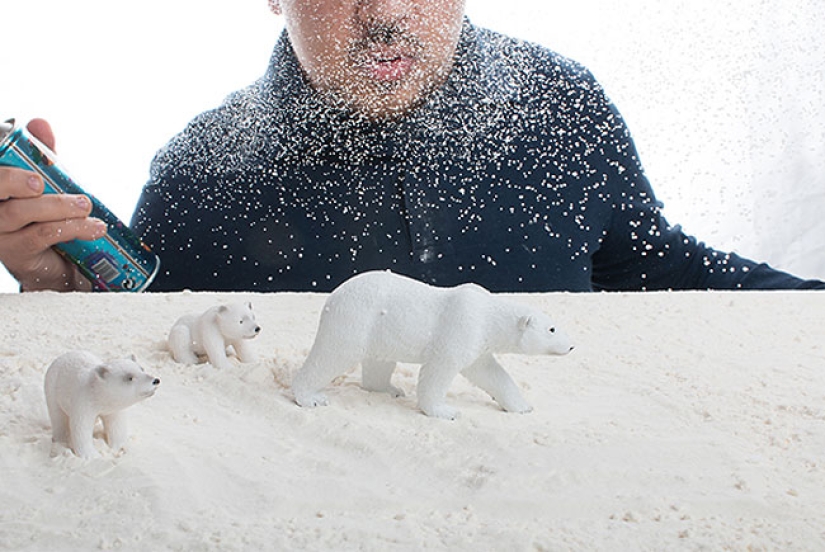 Egyptian photographer shoots wildlife from the comfort of his bedroom Egyptian photographer shoots wildlife from the comfort of his bedroom