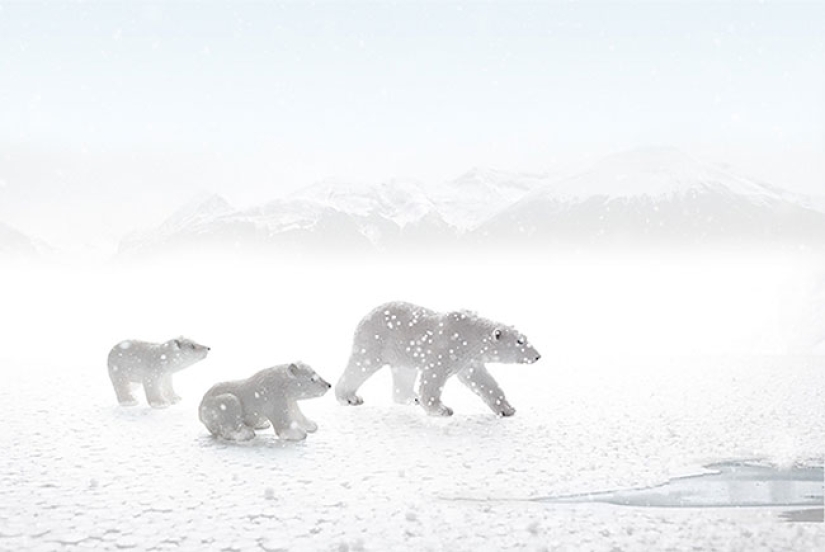 Egyptian photographer shoots wildlife from the comfort of his bedroom Egyptian photographer shoots wildlife from the comfort of his bedroom