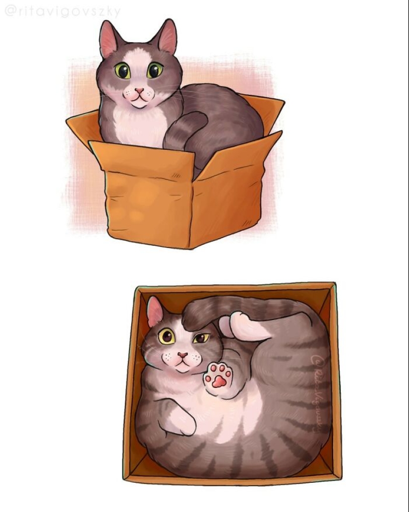 El artista crea ilustraciones conmovedoras sobre las alegrías de tener gatos. El artista crea ilustraciones conmovedoras sobre las alegrías de tener gatos.