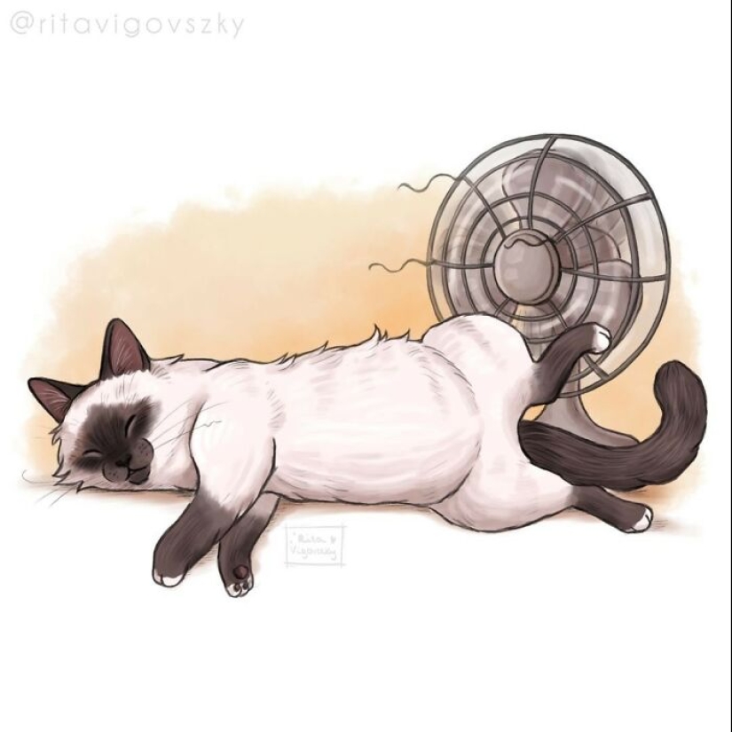 El artista crea ilustraciones conmovedoras sobre las alegrías de tener gatos. El artista crea ilustraciones conmovedoras sobre las alegrías de tener gatos.