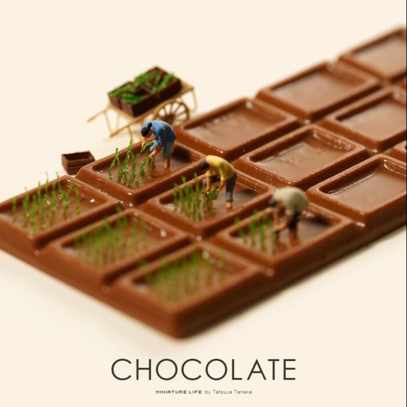 El artista japonés ha estado creando escenas en miniatura todos los días durante 12 años.