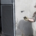 El Black Hornet es un dron helicóptero militar que cabe en la mano El Black Hornet es un dron helicóptero militar que cabe en la mano