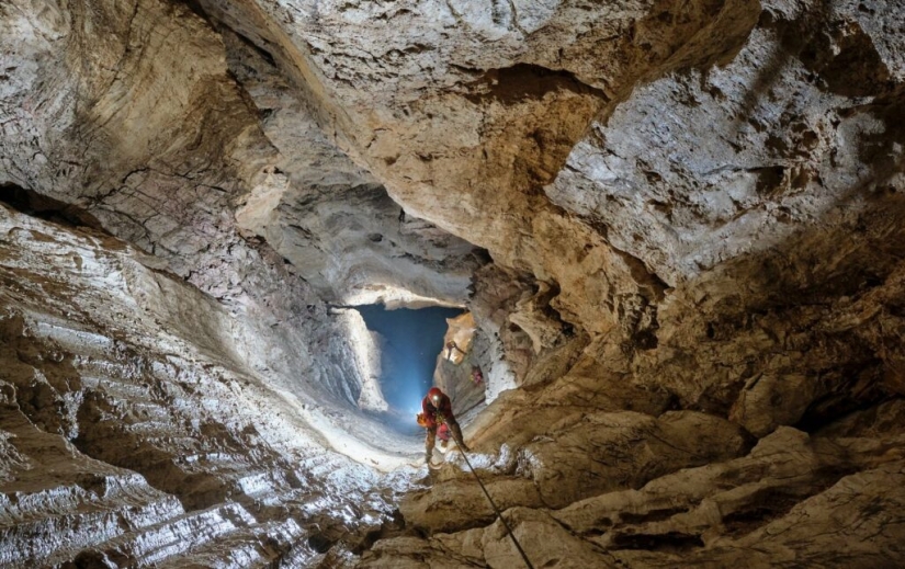El escarabajo ciego que lleva el nombre de Hitler fue víctima de los neonazis