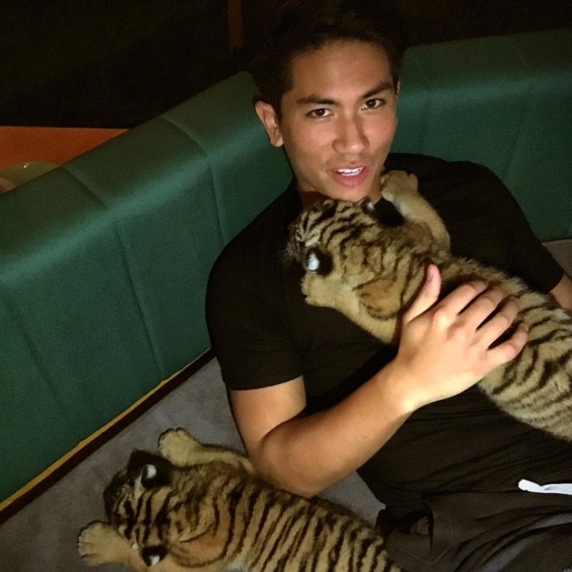 Él está a caballo, pero tú no: el príncipe musulmán es reconocido como el soltero más deseable del planeta