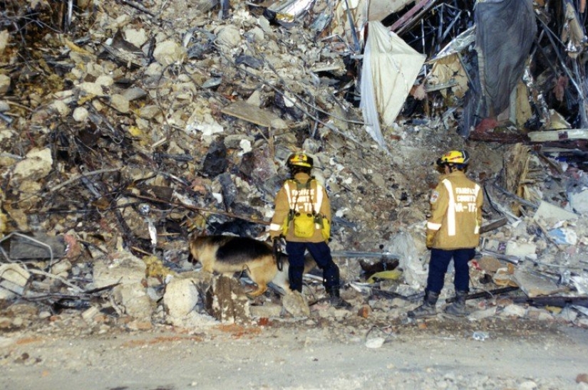 El FBI mostró fotos previamente desconocidas del Pentágono el 11 de septiembre