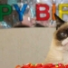 El gato más enojado de Internet se ha convertido en la musa de los artistas El gato más enojado de Internet se ha convertido en la musa de los artistas