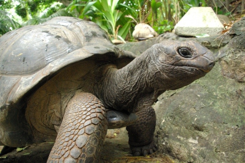 El hombre dejó todo y se fue a su propia isla desierta