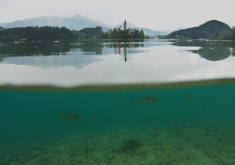 El lago Bled es el mejor lugar para los amantes de la paz y la tranquilidad.