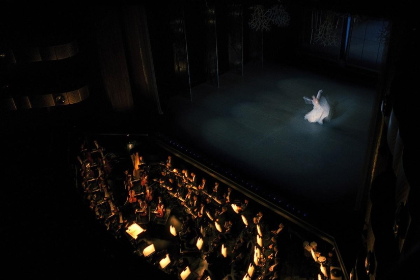 El mundo del ballet profesional a través de los ojos de Henry Lutweil