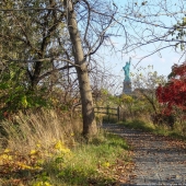 El otro lado de la libertad