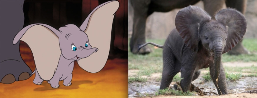 El pato Donald y otros 20 animales de Disney en la vida real