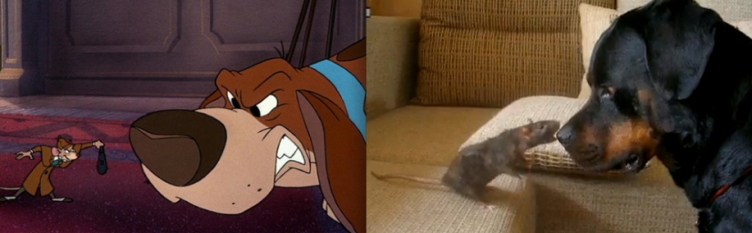 El pato Donald y otros 20 animales de Disney en la vida real