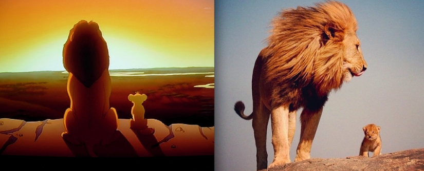 El pato Donald y otros 20 animales de Disney en la vida real