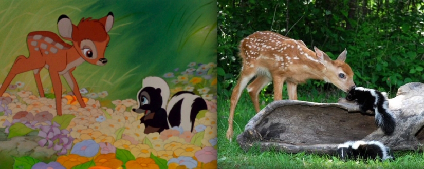 El pato Donald y otros 20 animales de Disney en la vida real