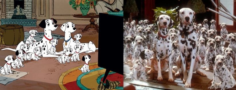 El pato Donald y otros 20 animales de Disney en la vida real